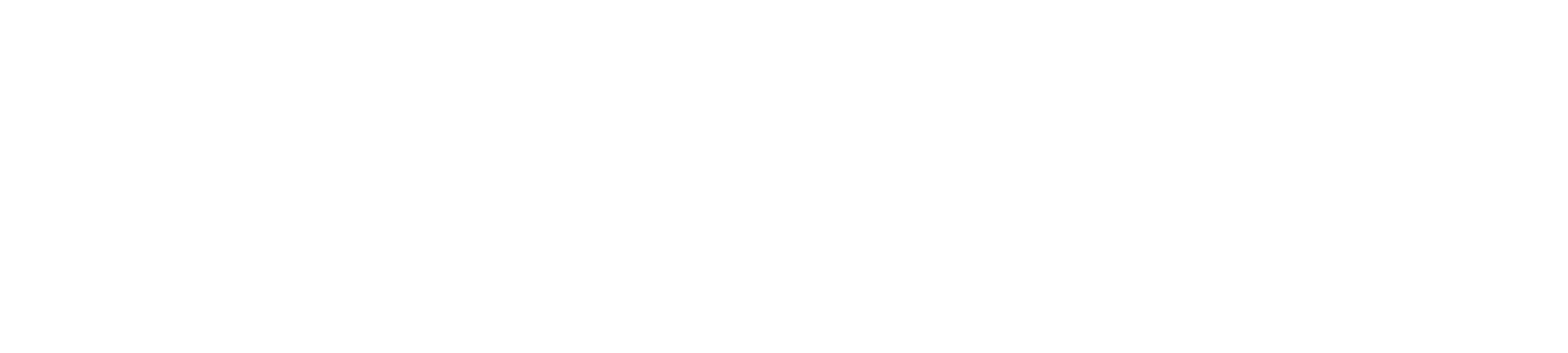 IDASFEST